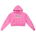 Snow Washed Cropped Hoodie